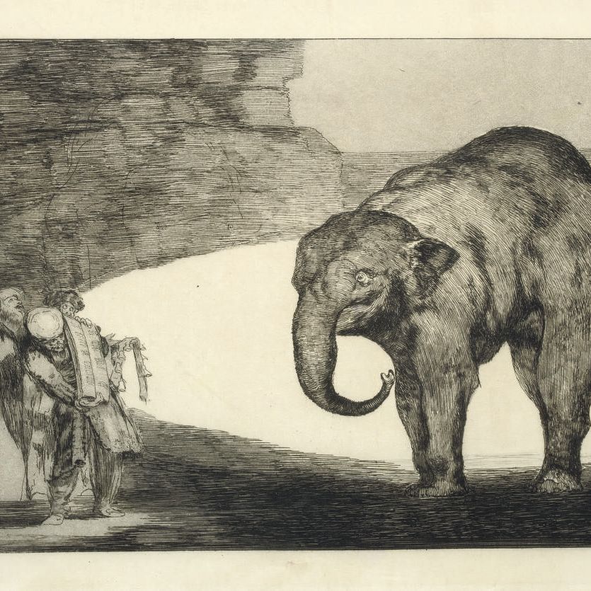 Francisco Goya — Кто такой Пондра эль Каскабель Гато?, из Лос-Провербиос (D. 222; H. 268)
