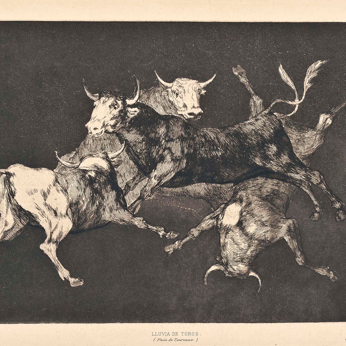 Francisco Goya — "Несопоставимые тонто" , из четырех дополнительных пластинок "Лос Провербиос" (Дельтейл, 223; Харрис, 269)