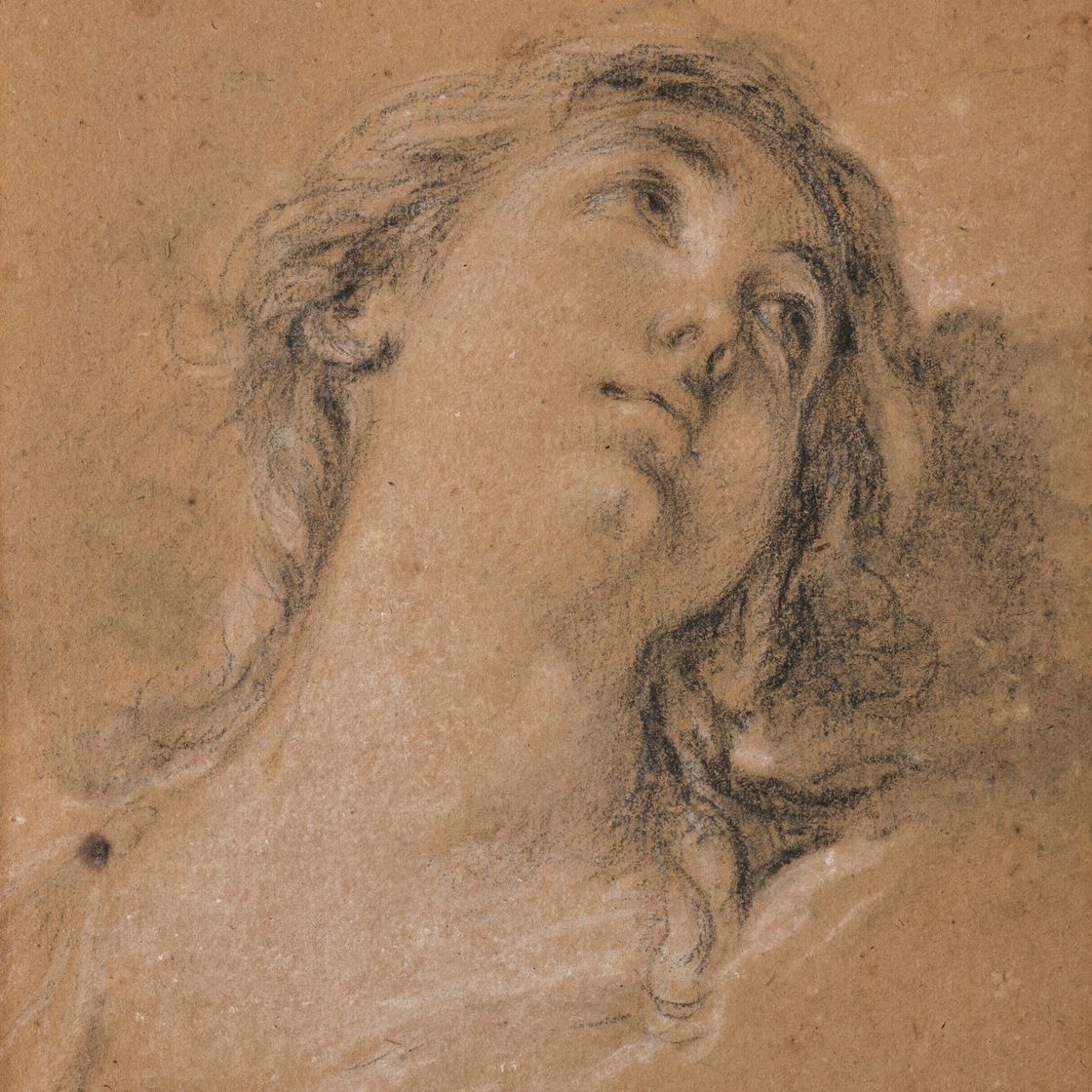 François Boucher — Голова молодой женщины, смотрящей вверх