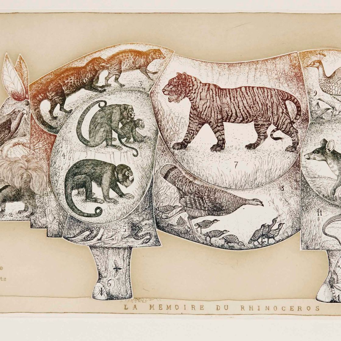 François-Xavier Lalanne — Воспоминания о носорогах