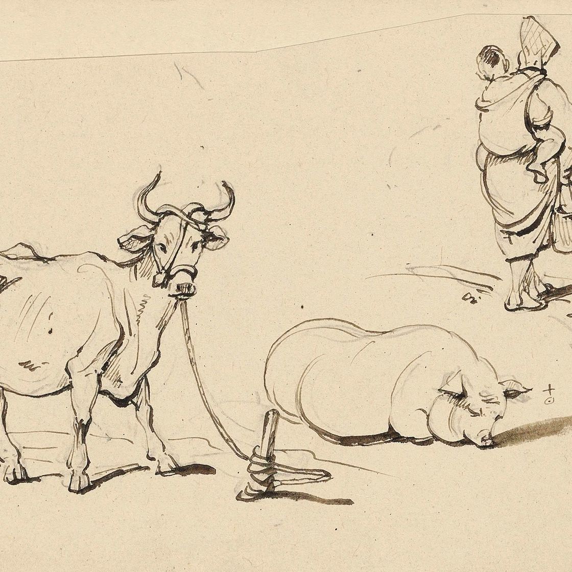 George Chinnery — Зарисовки привязанной коровы, свиньи и матери с ребенком