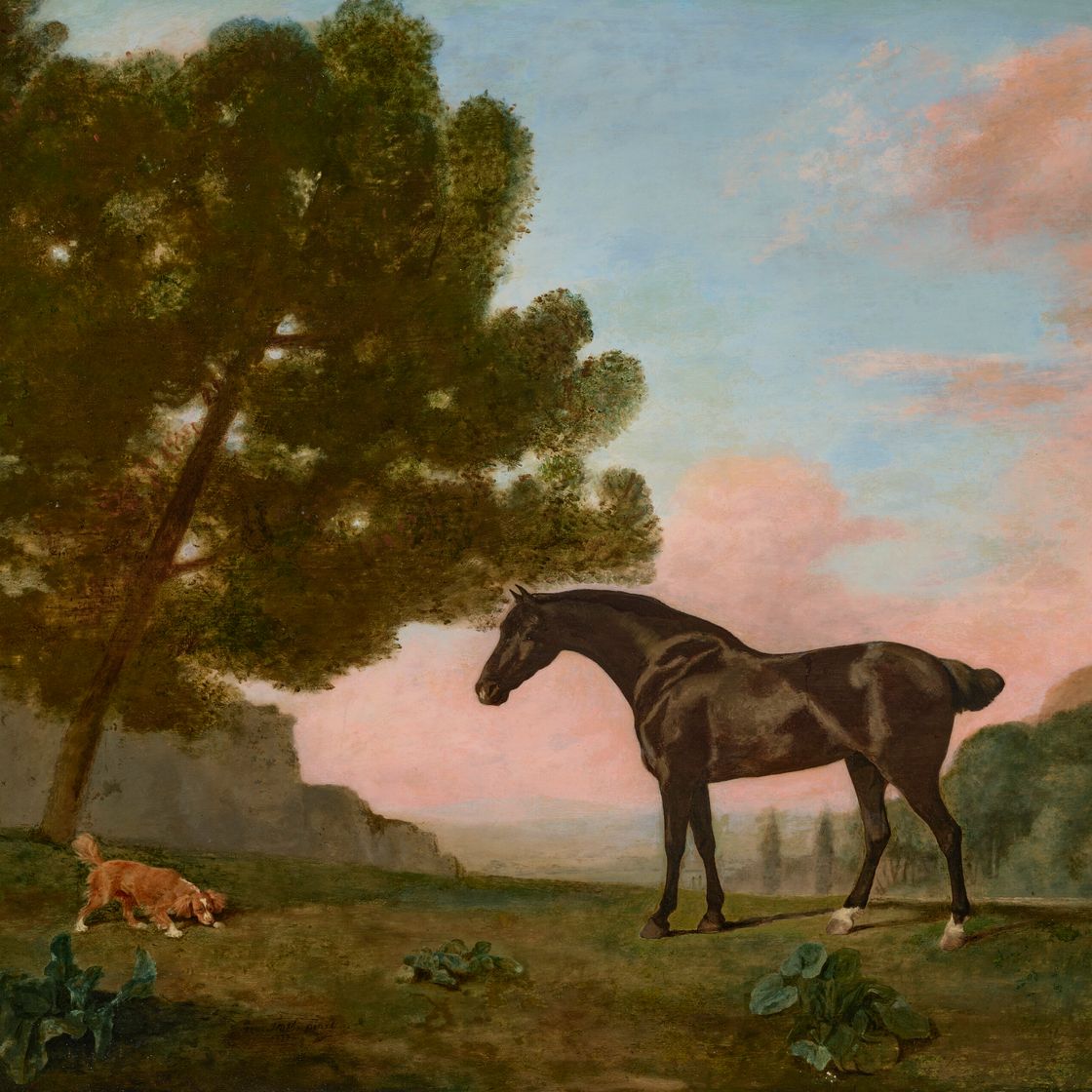 George Stubbs — Темно-гнедая лошадь, смотрящая налево, и золотистый спаниель, обнюхивающий землю, изображение 1