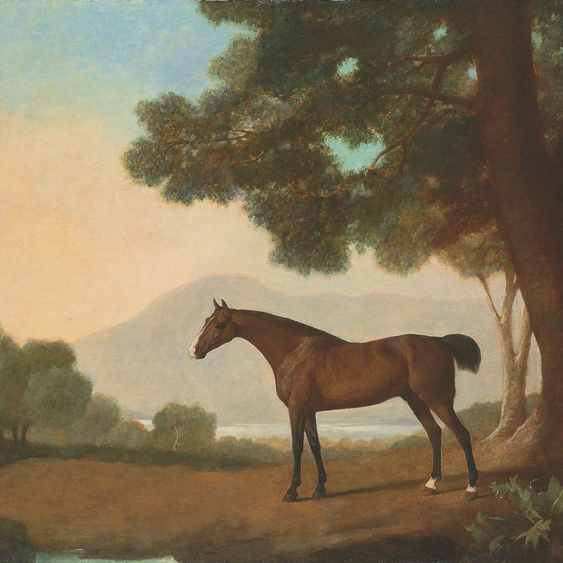 George Stubbs — Гнедая скаковая лошадь лорда Клермонта Джонни, окруженная лесистым ландшафтом, с озером и холмами за ним