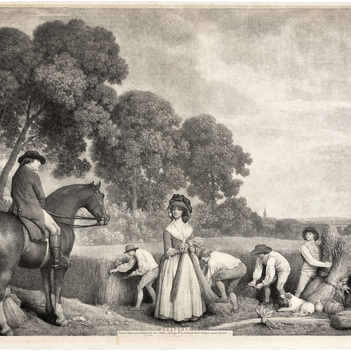 George Stubbs — Сенокосилки, жнецы, изображение 5