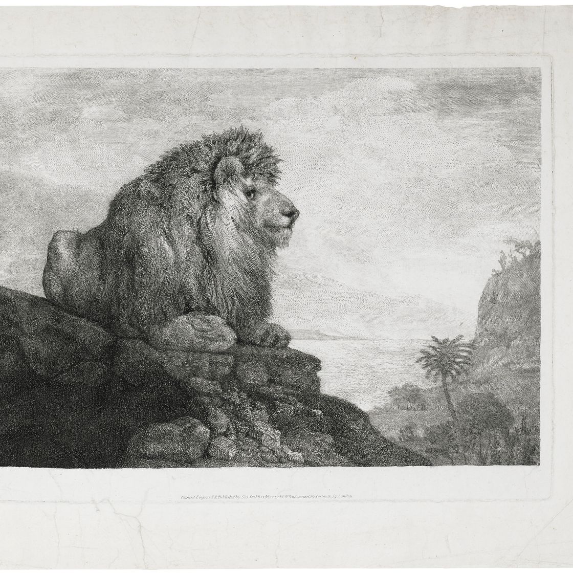 George Stubbs — Лев (Лев, отдыхающий на скале), изображение 3