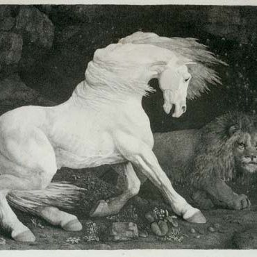 George Stubbs — Лошадь, испугавшаяся льва (Леннокс-Бойд, 70)