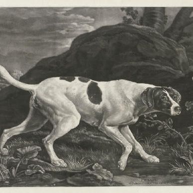 George Stubbs — Филлис, указательница лорда Клермонта