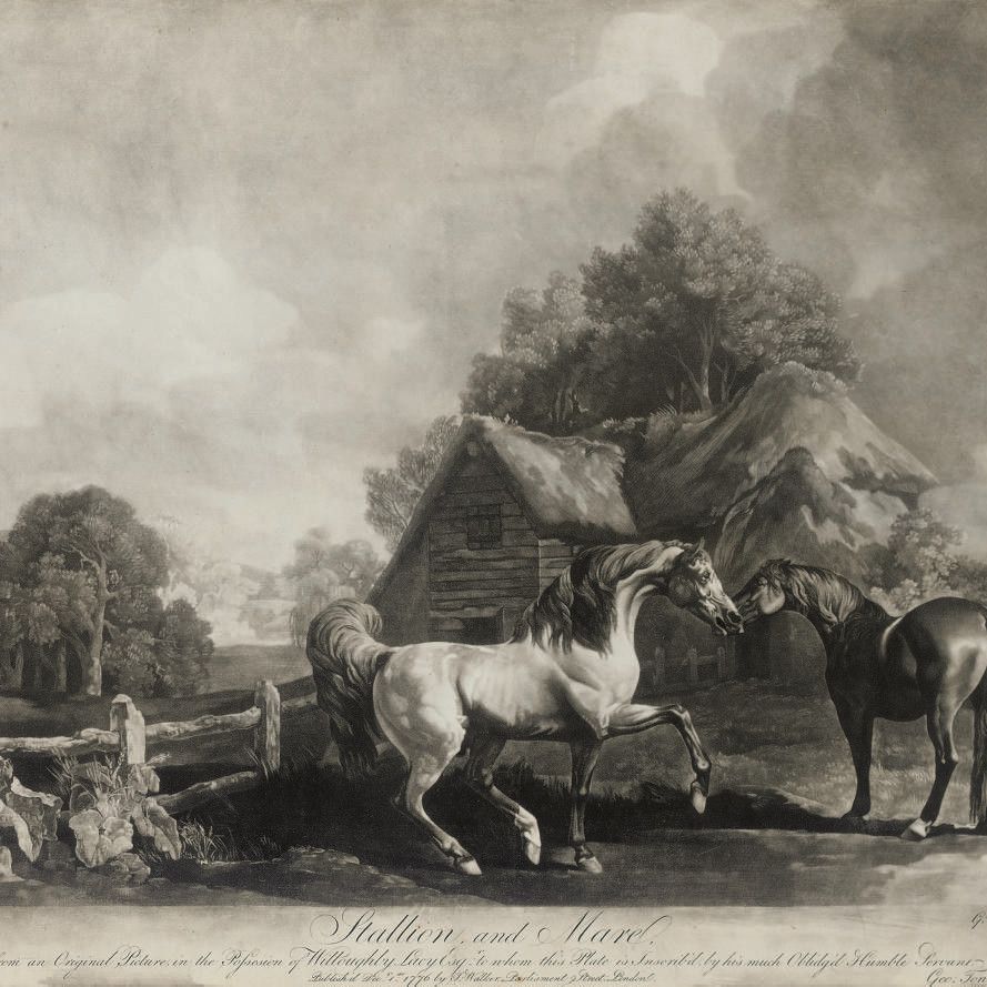 George Stubbs — Жеребец и кобыла