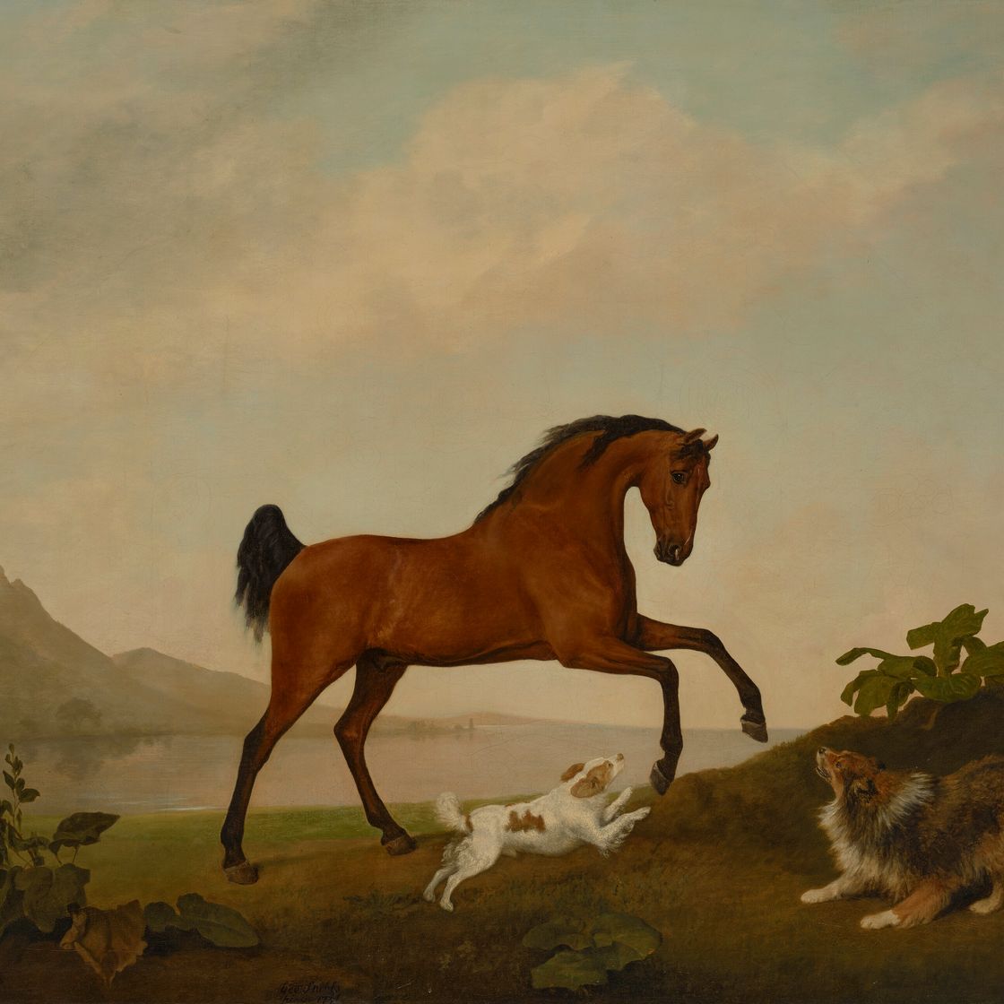 George Stubbs — Гарцующая лошадь с двумя собаками на фоне пейзажа, изображение 1