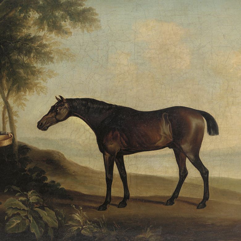 George Stubbs — "Шарк" с мастер-прайсом