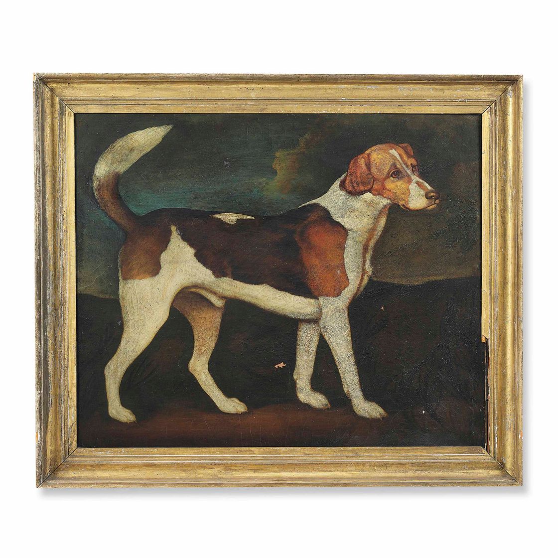 George Stubbs — Рингвуд, фоксхаунд из Броклсби