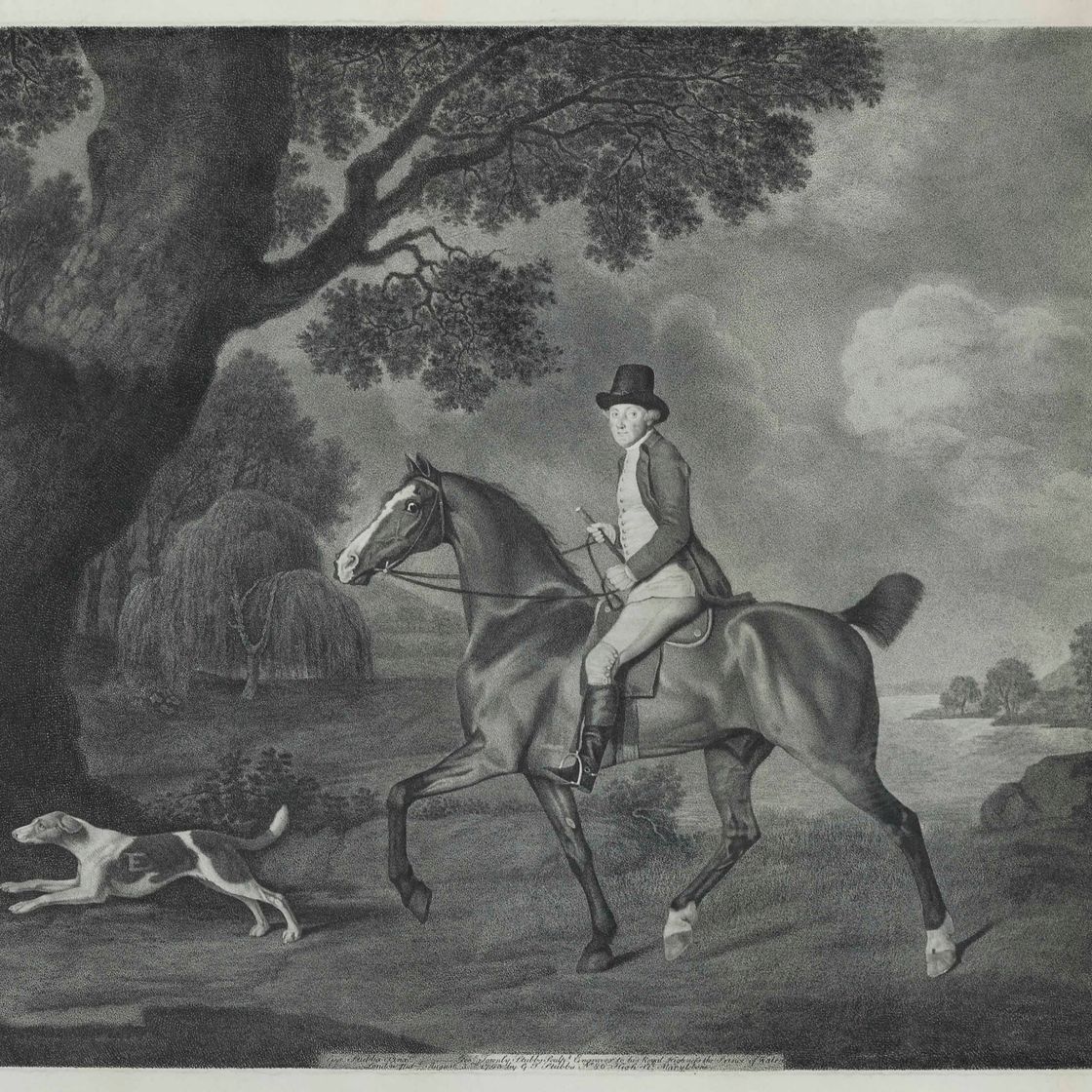 George Stubbs — Уильям Эвелин, эсквайр, изображение 1