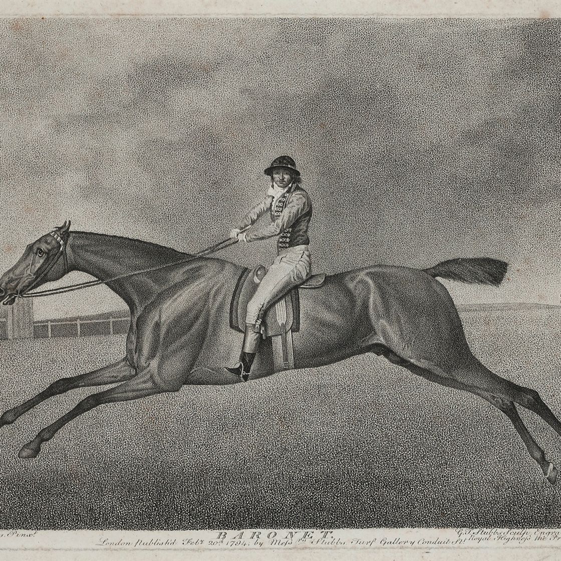 George Stubbs — Баронет, Шарк, Суитуильям и Эклипс, изображение 3