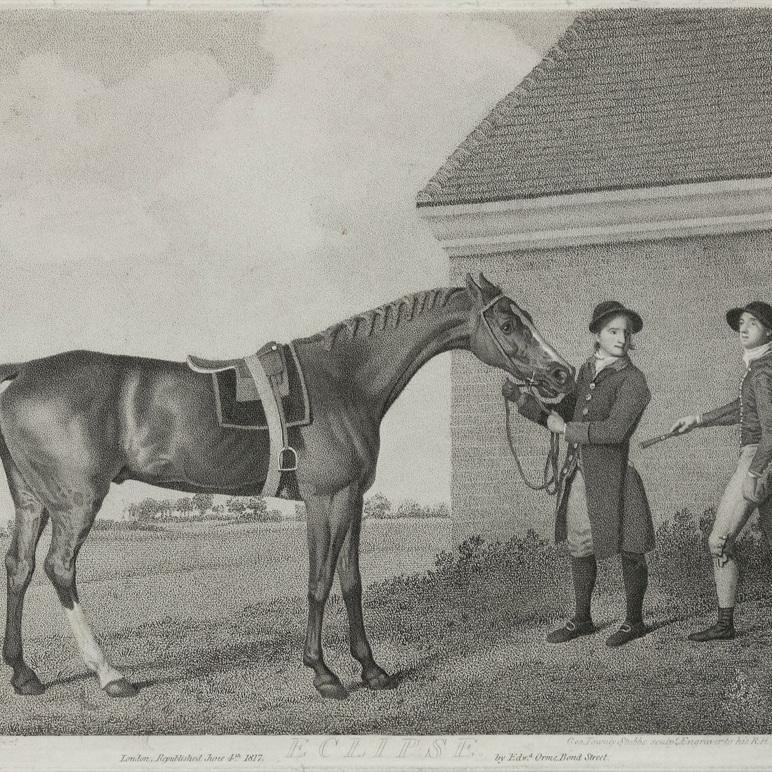 George Stubbs — Баронет, Шарк, Суитуильям и Эклипс, изображение 4