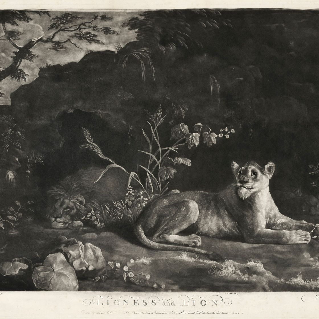 George Stubbs — Жеребец и кобыла, изображение 2