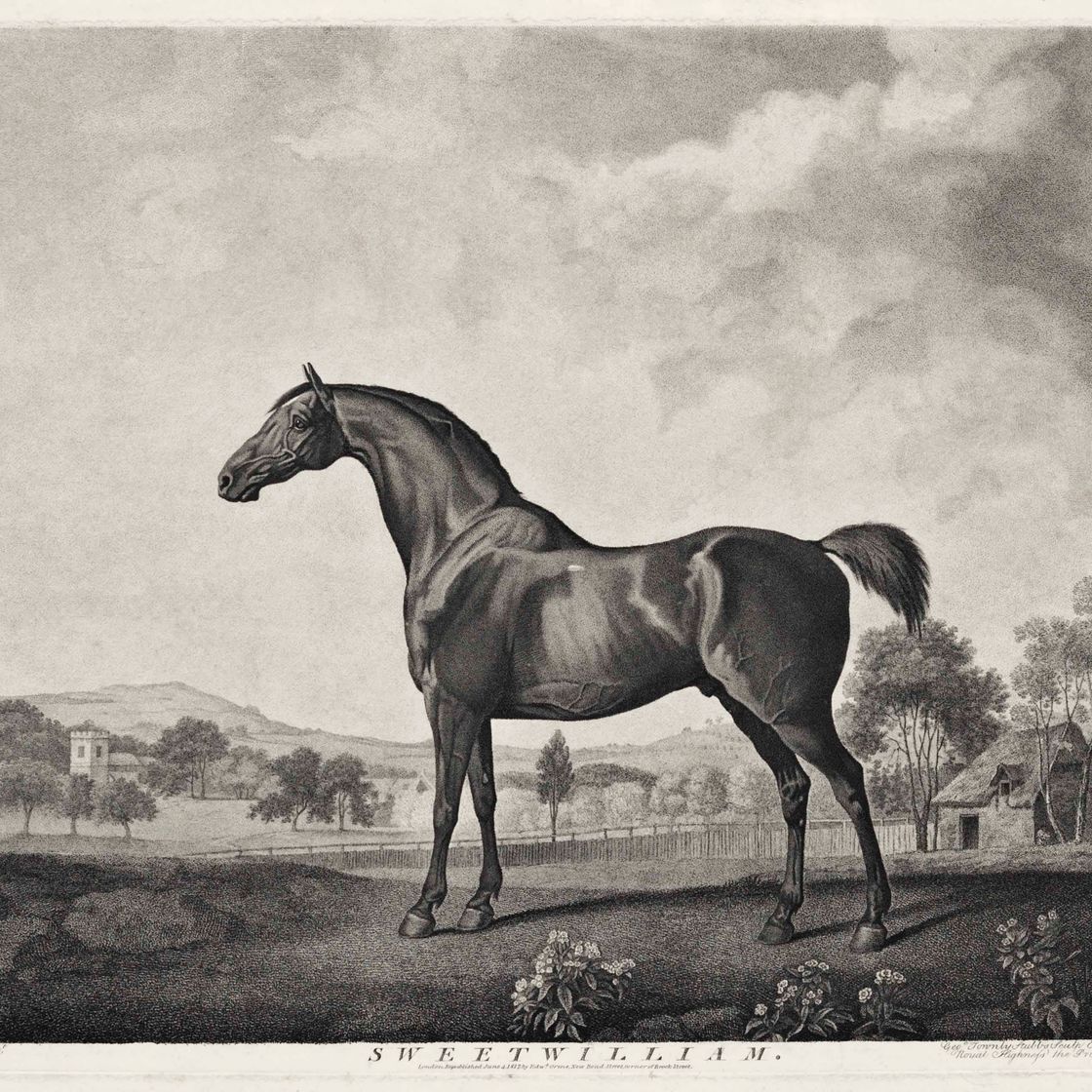 George Stubbs — Наковальня и Свитуильям, изображение 1