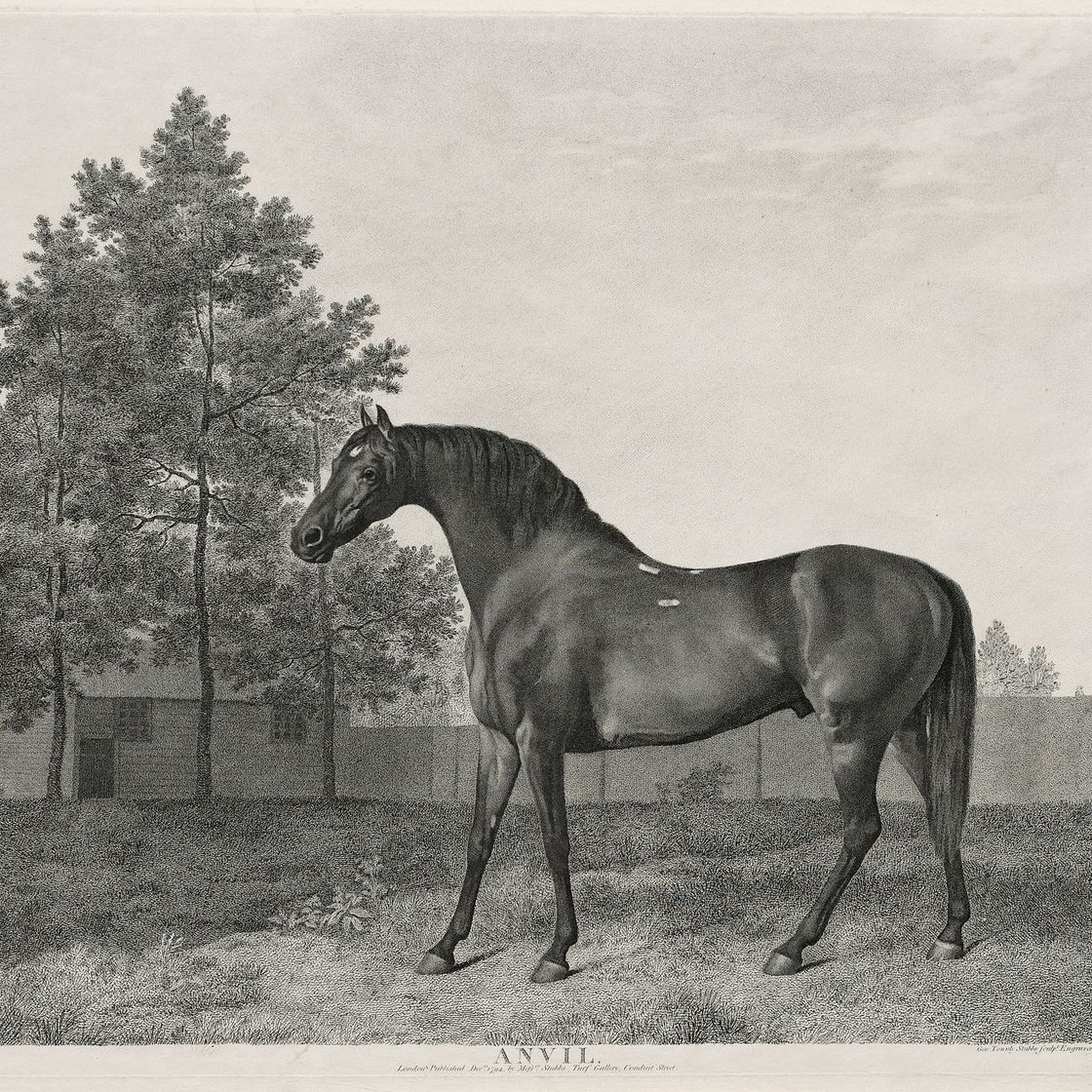 George Stubbs — Наковальня и Свитуильям, изображение 2