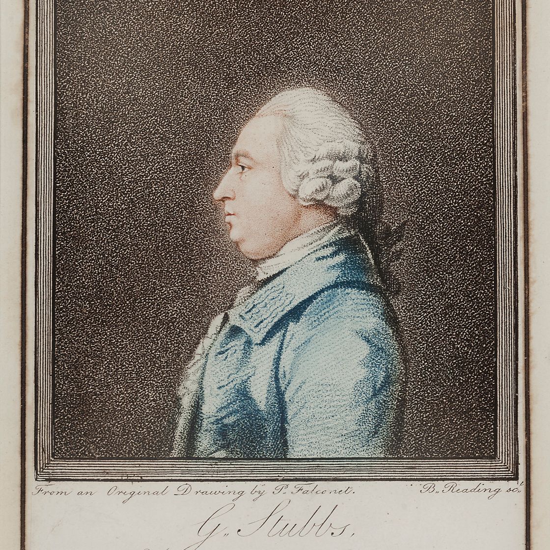 George Stubbs — Милый Уильям, изображение 4