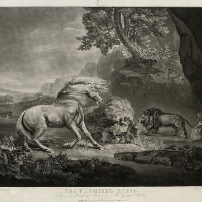 George Stubbs — Испуганная лошадь