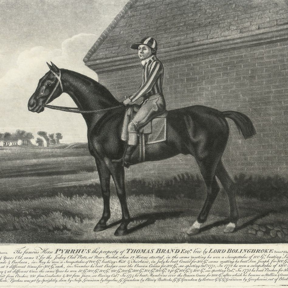 George Stubbs — Знаменитый конь Пирр