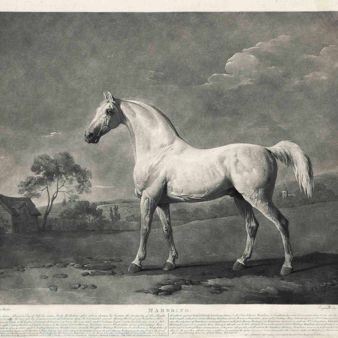 George Stubbs — Мамбрино; и защитник, изображение 1
