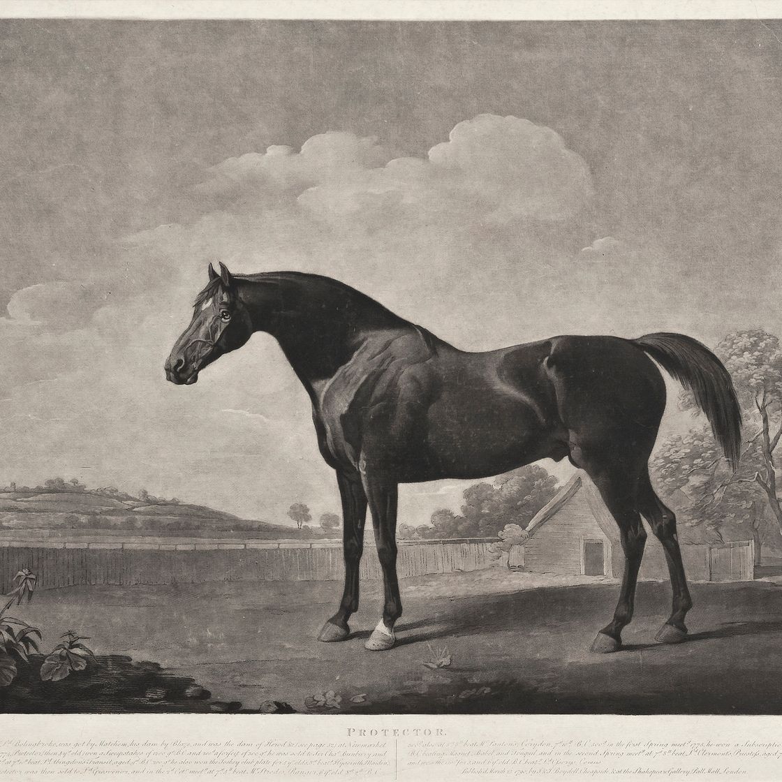 George Stubbs — Мамбрино; и защитник, изображение 2