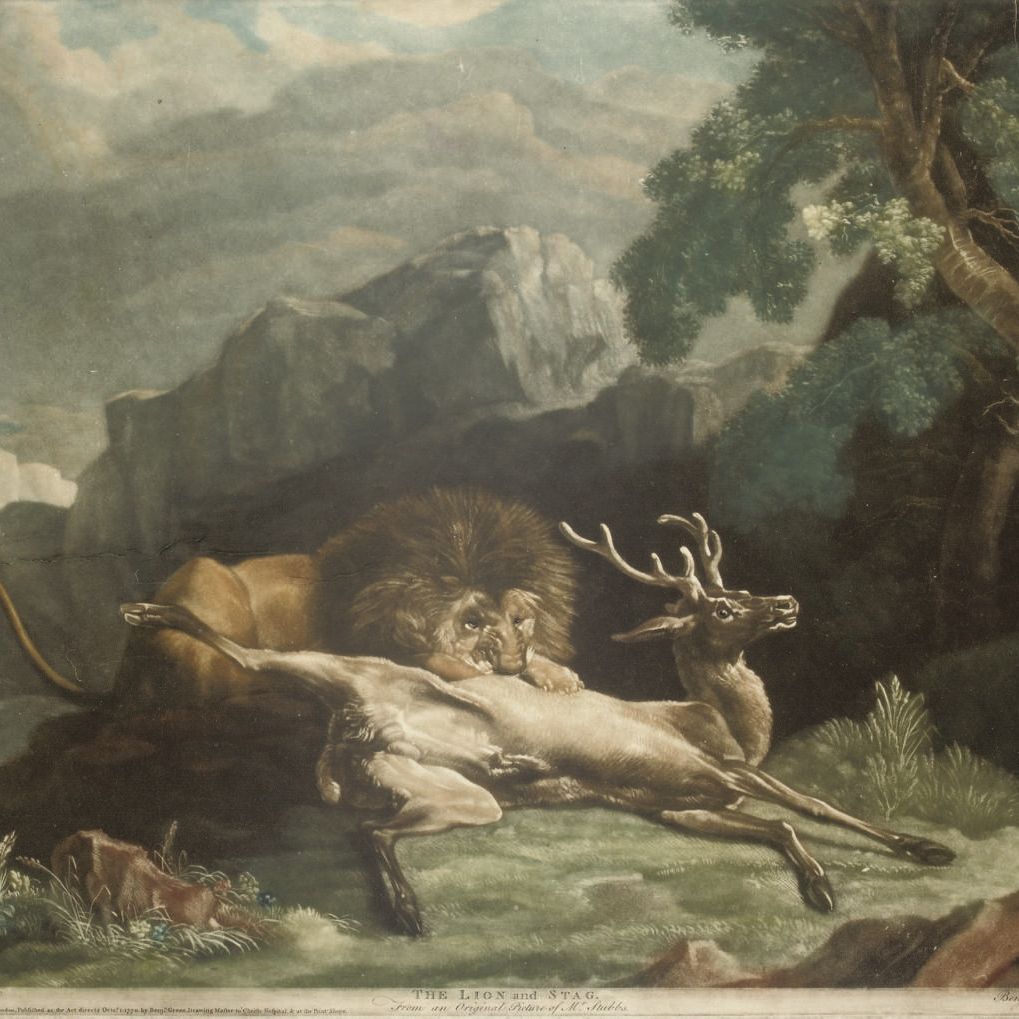 George Stubbs — Лев и Олень