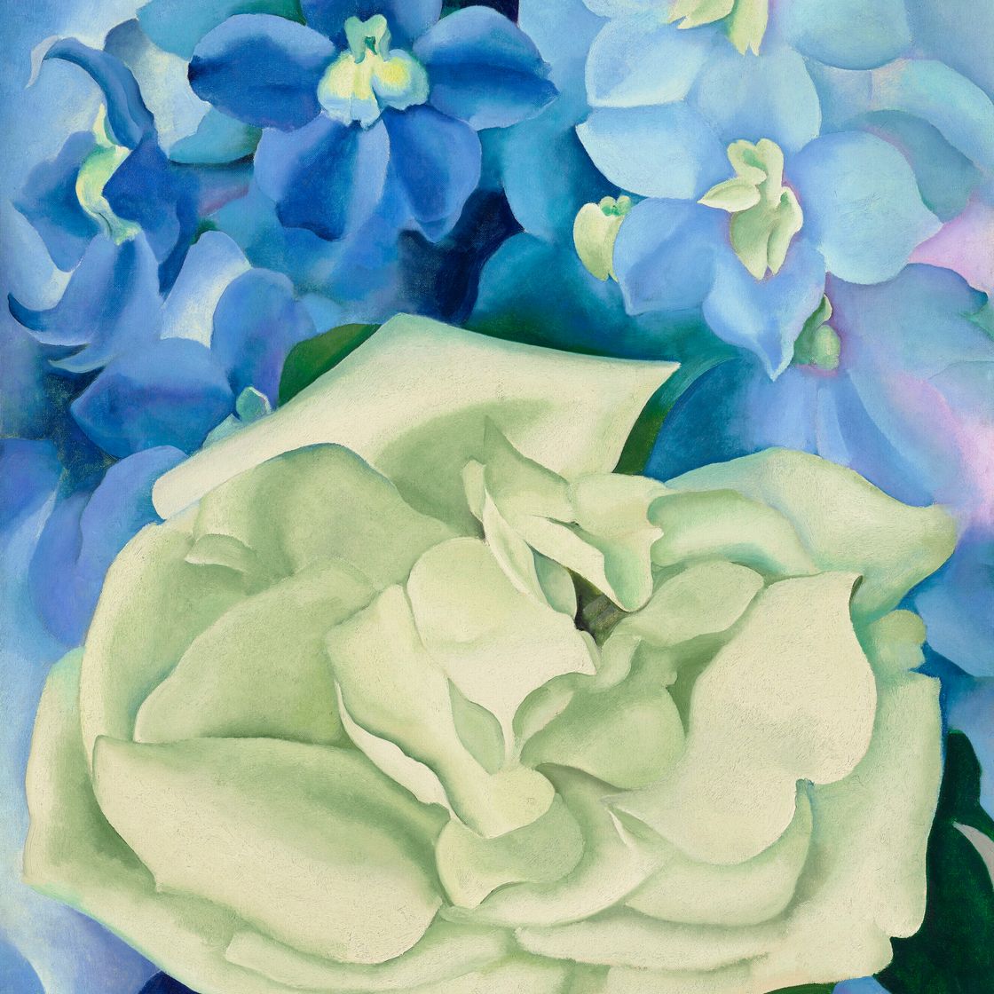 Georgia O’Keeffe — Белая роза с живокостью № I, изображение 1