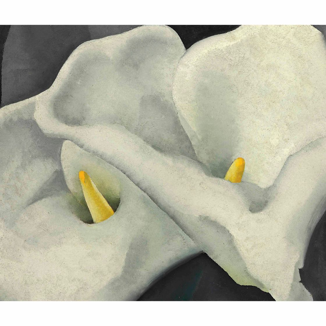 Georgia O’Keeffe — Две каллы