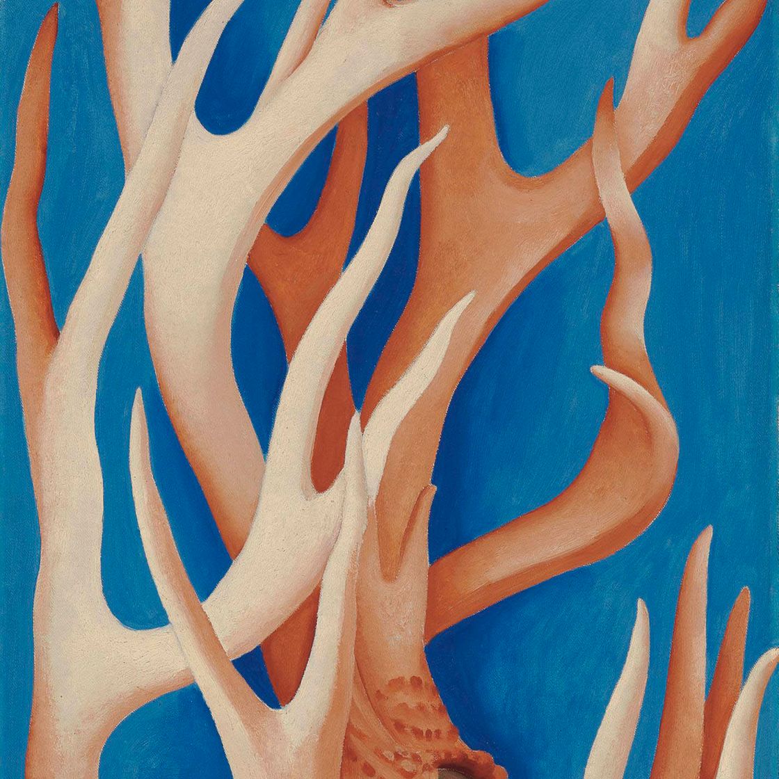 Georgia O’Keeffe — Оленьи рога
