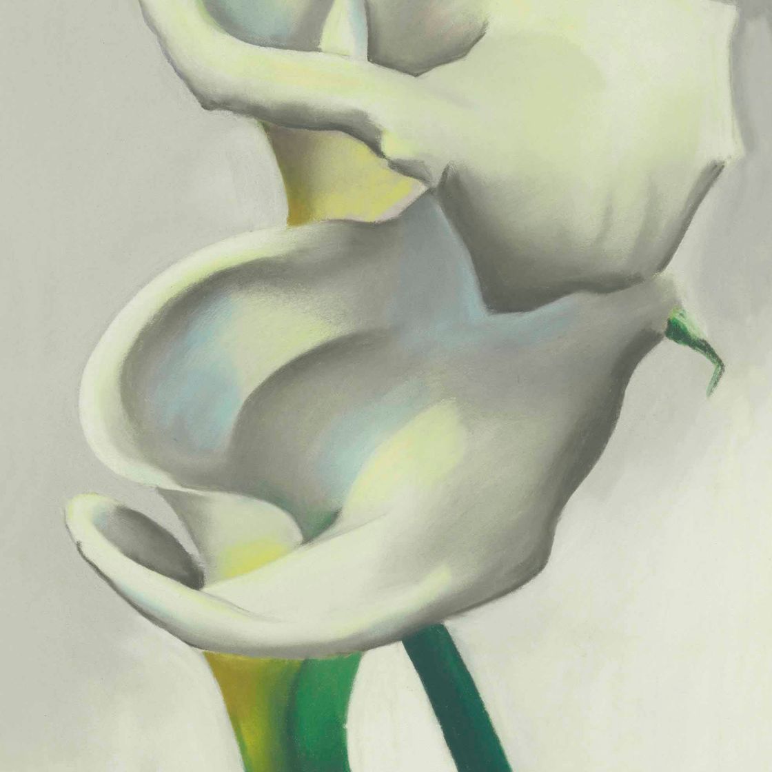 Georgia O’Keeffe — Две Каллы Вместе