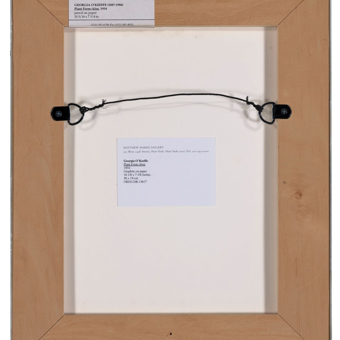 Georgia O’Keeffe — Форма растения-Алоэ, изображение 3