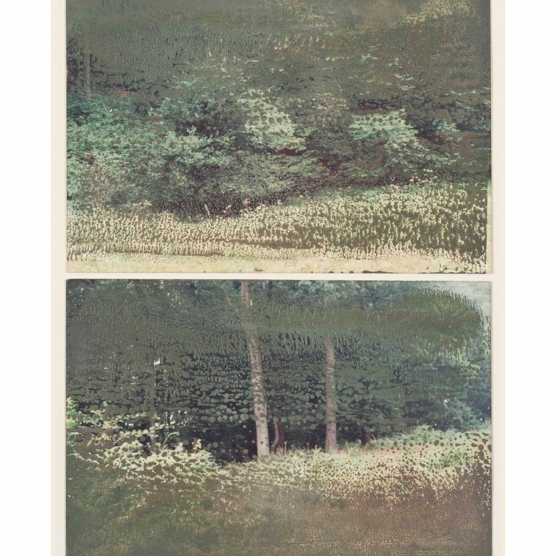 Gerhard Richter — 30.5.92