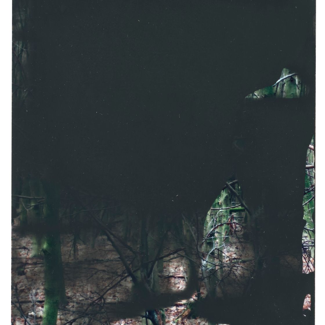 Gerhard Richter — 27.1.08 (Граувальд), изображение 1