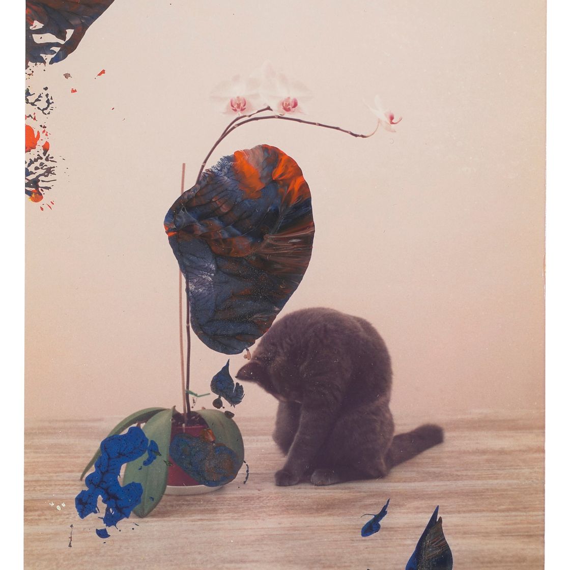 Gerhard Richter — Без названия (5.2.89)