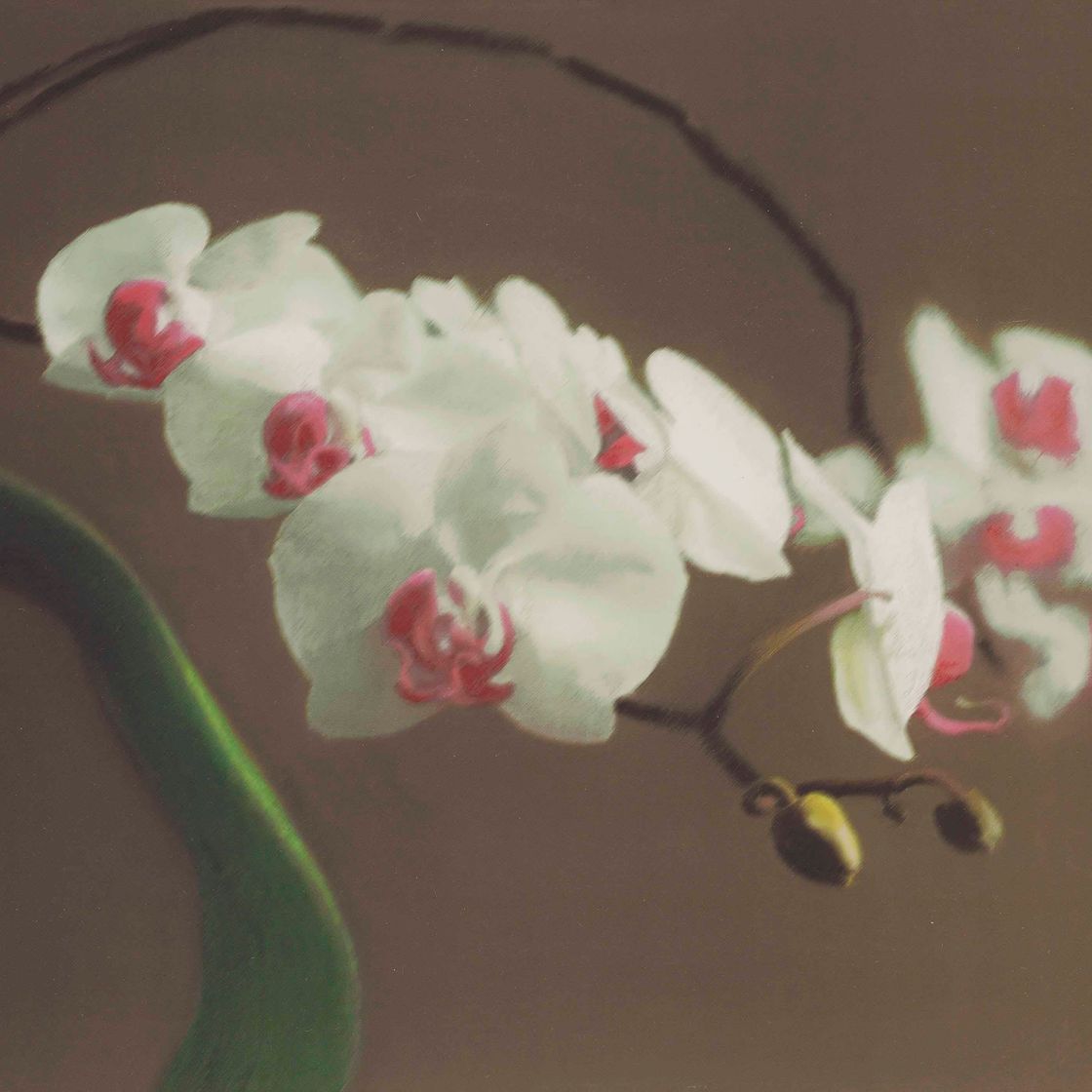Gerhard Richter — Орхидея (Версия I)