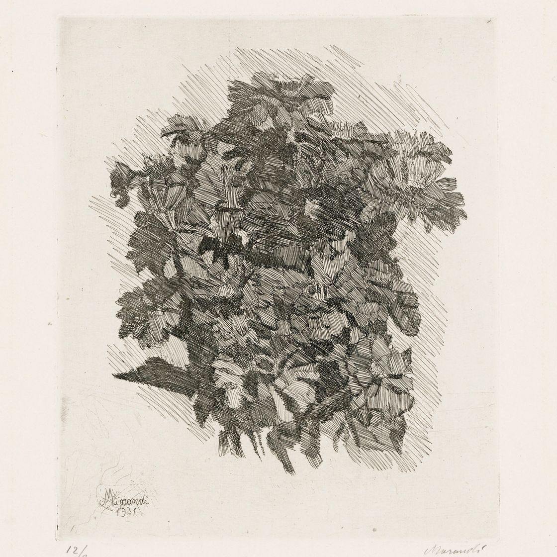 Giorgio Morandi — Группа Цинни