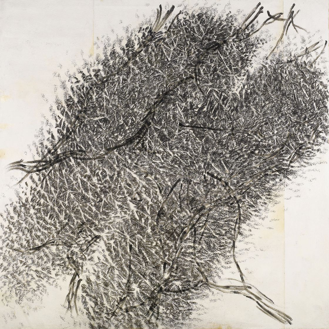 Giuseppe Penone — Давление