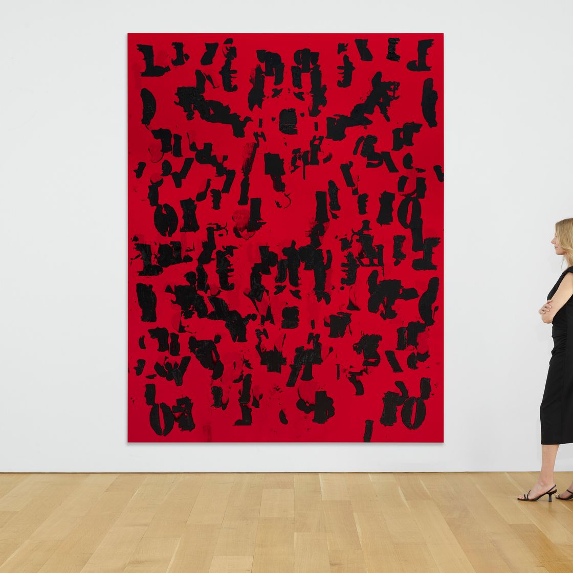 Glenn Ligon — Поле обломков (красное) #1, изображение 3