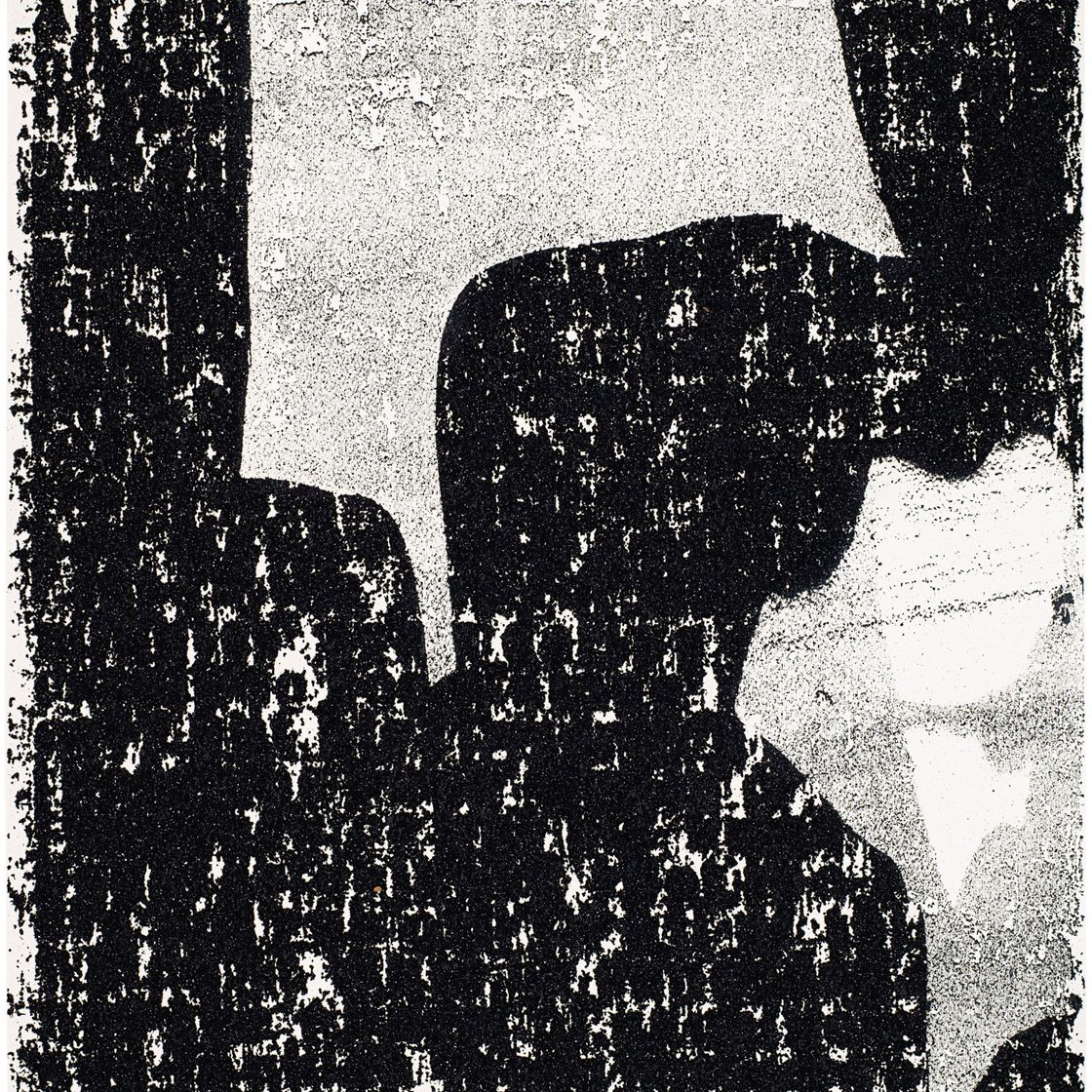 Glenn Ligon — Зеркало II Рисунок №18