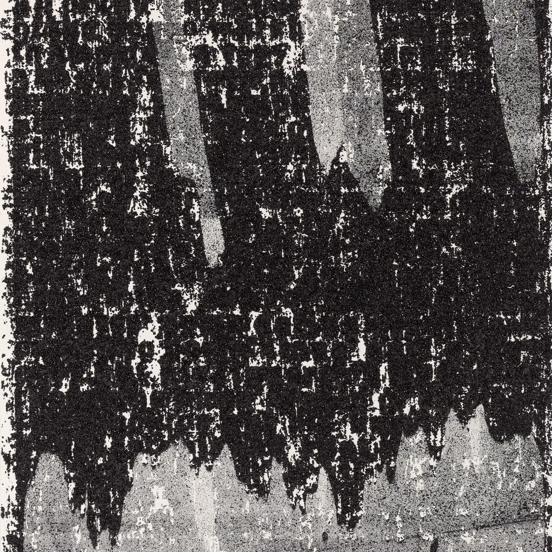 Glenn Ligon — Зеркало II