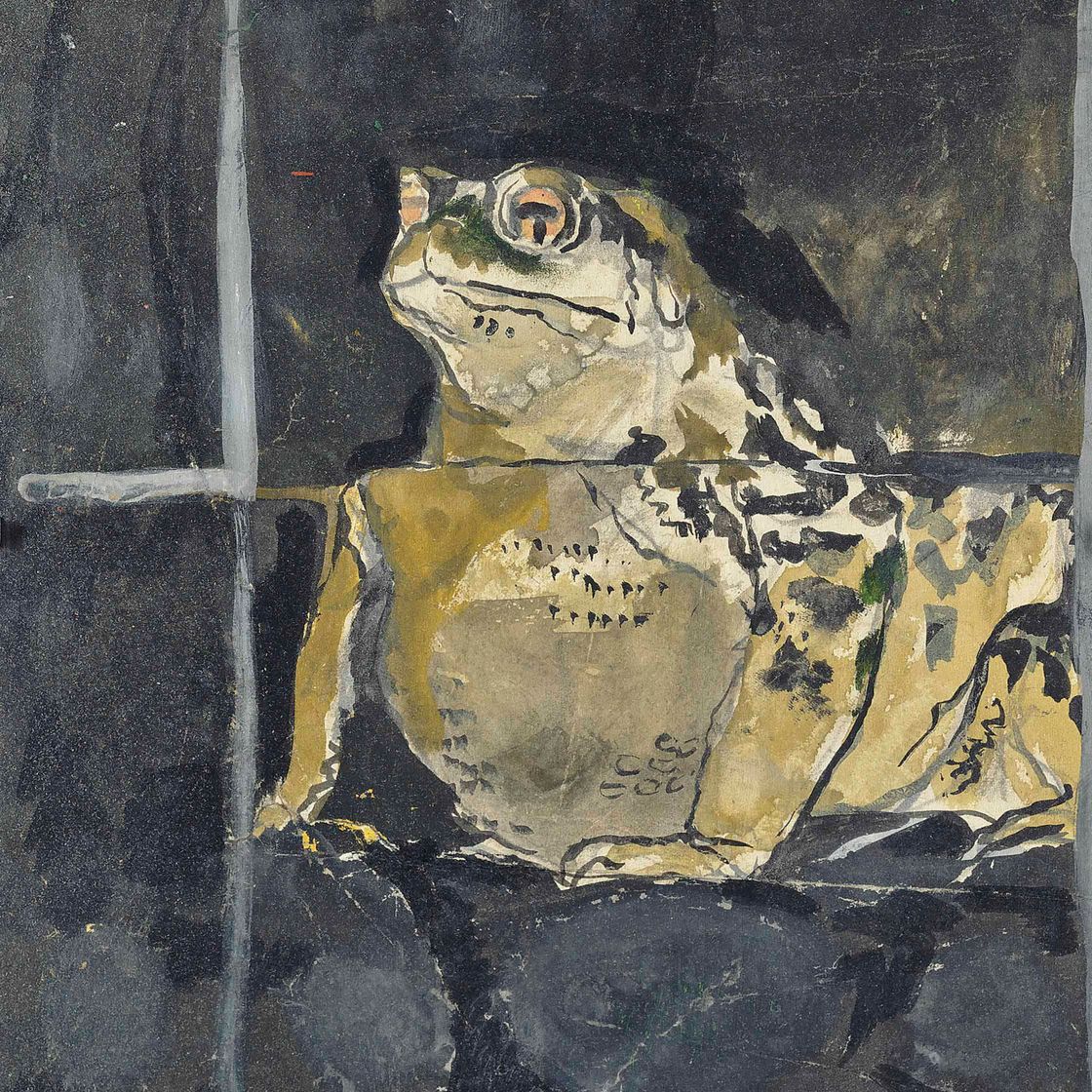 Graham Sutherland — Жаба (исследование)