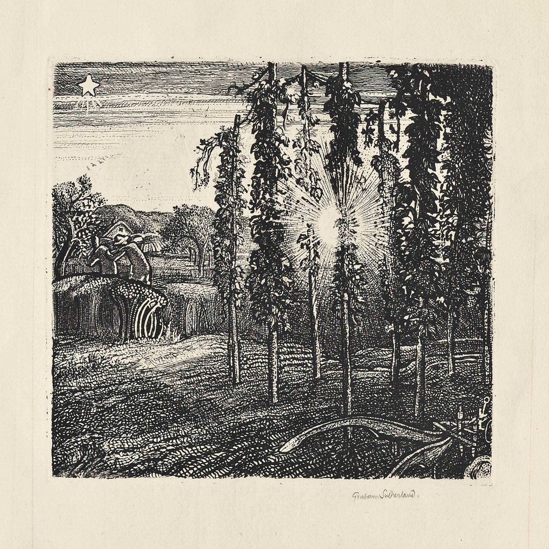 Graham Sutherland — Безумные поля