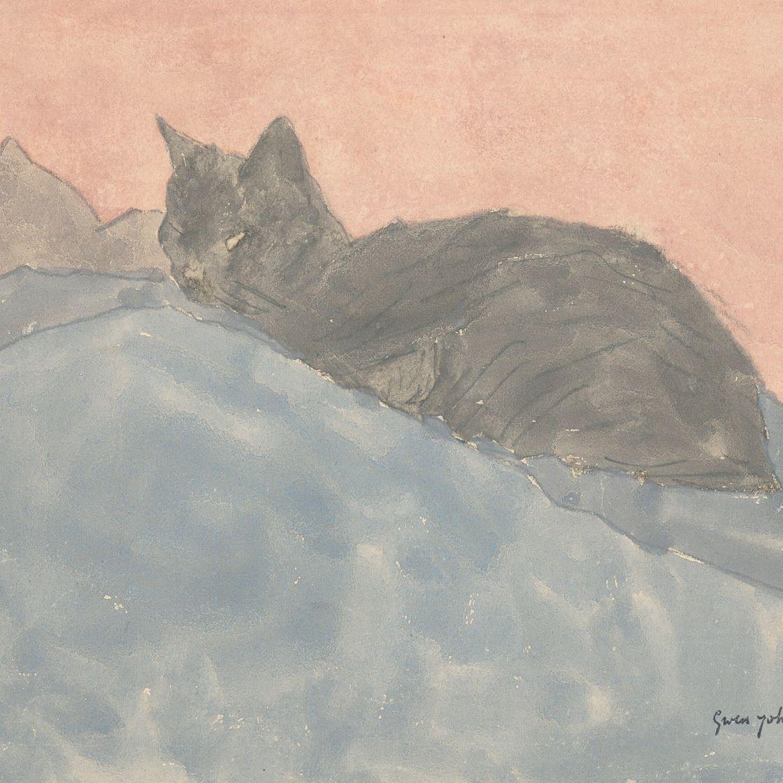 Gwen John — Черная кошка на голубом и розовом фоне, изображение 1