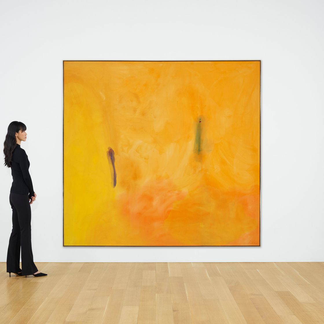 Helen Frankenthaler — Заблаговременность, изображение 3