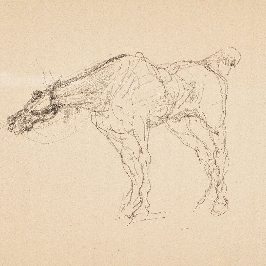 Henri de Toulouse-Lautrec — Шевалье (спереди); Шевалье с саблями (сзади), изображение 3