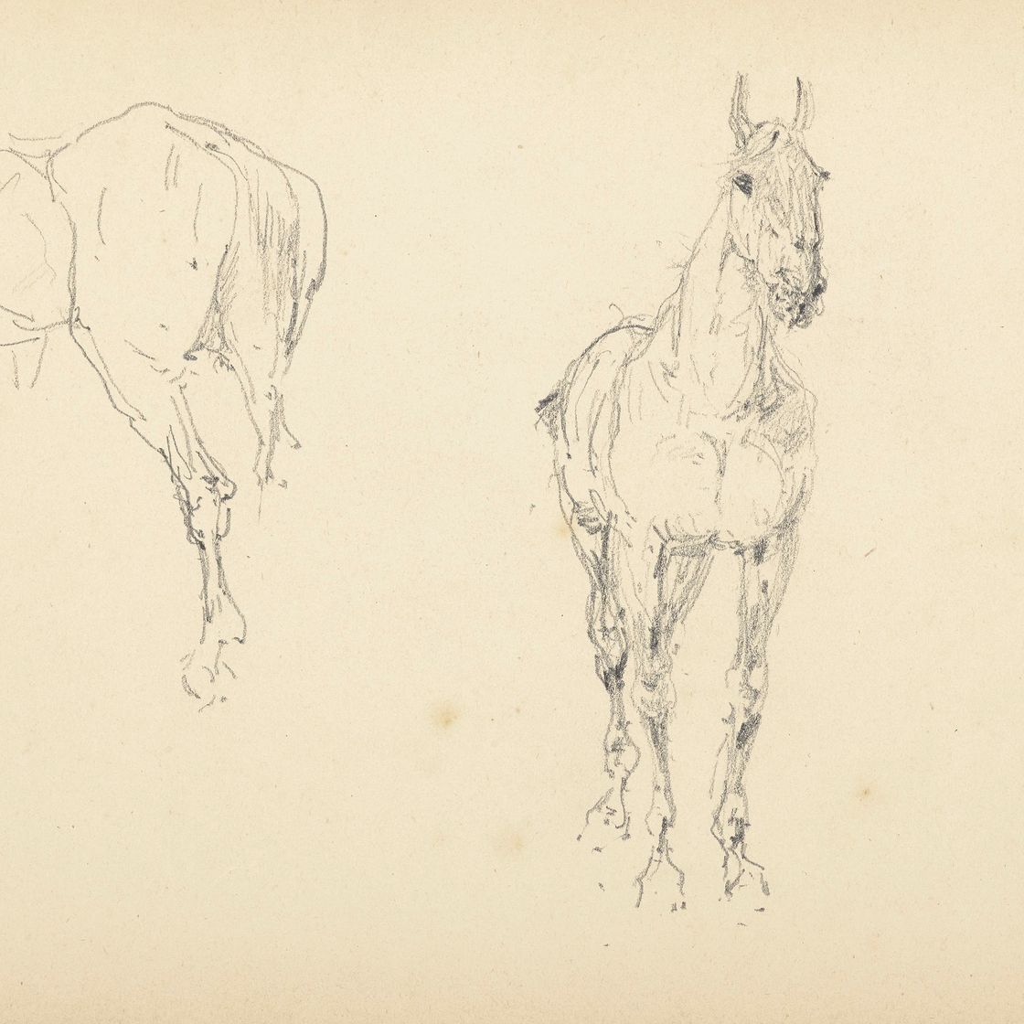 Henri de Toulouse-Lautrec — Этюд в стиле шевроле ( прямая и оборотная сторона ), изображение 1