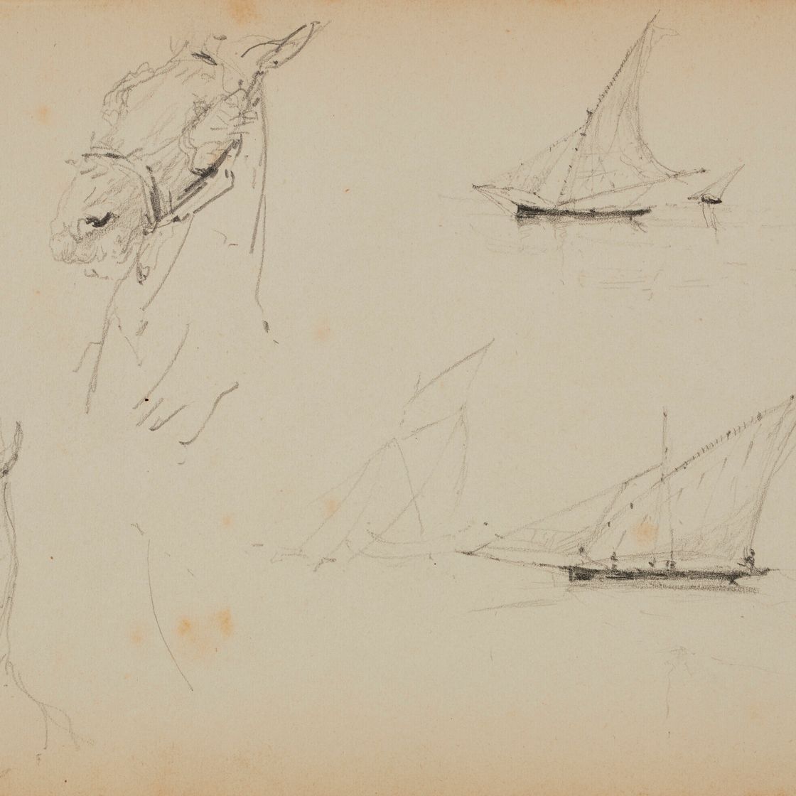 Henri de Toulouse-Lautrec — Этюды о вуалях и шевроле ( спереди ); Эскизы вуалей ( сзади ), изображение 1