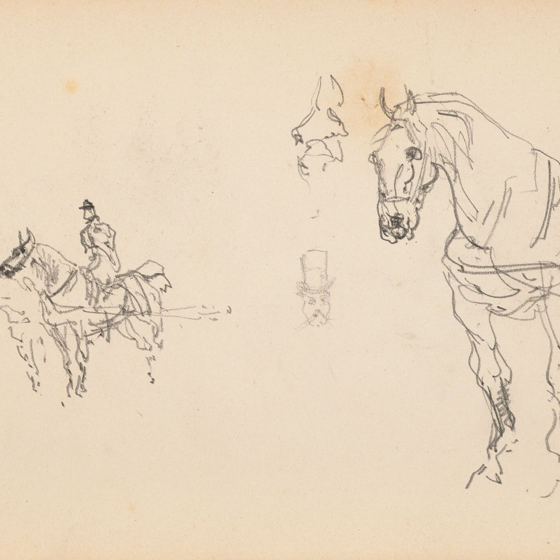 Henri de Toulouse-Lautrec — Шевроле ( прямой ; оборотной стороной ), изображение 1
