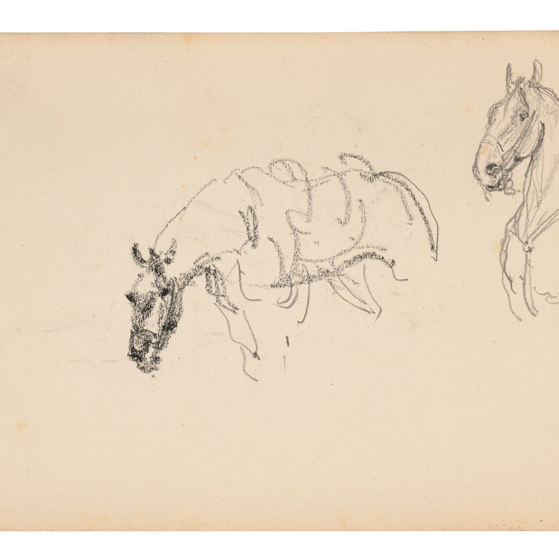 Henri de Toulouse-Lautrec — Шевроле ( прямой ; оборотной стороной ), изображение 3
